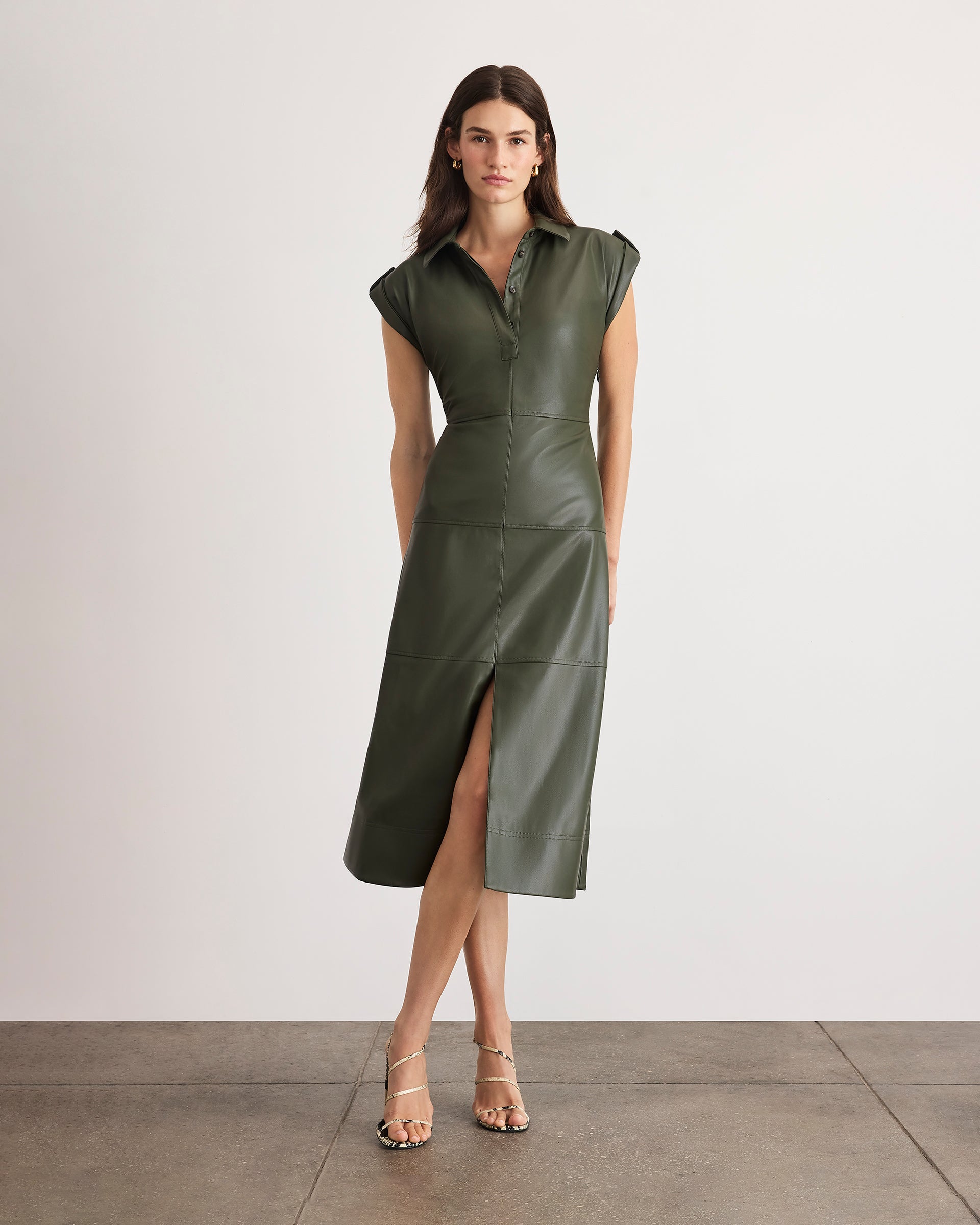 Shivi Dress