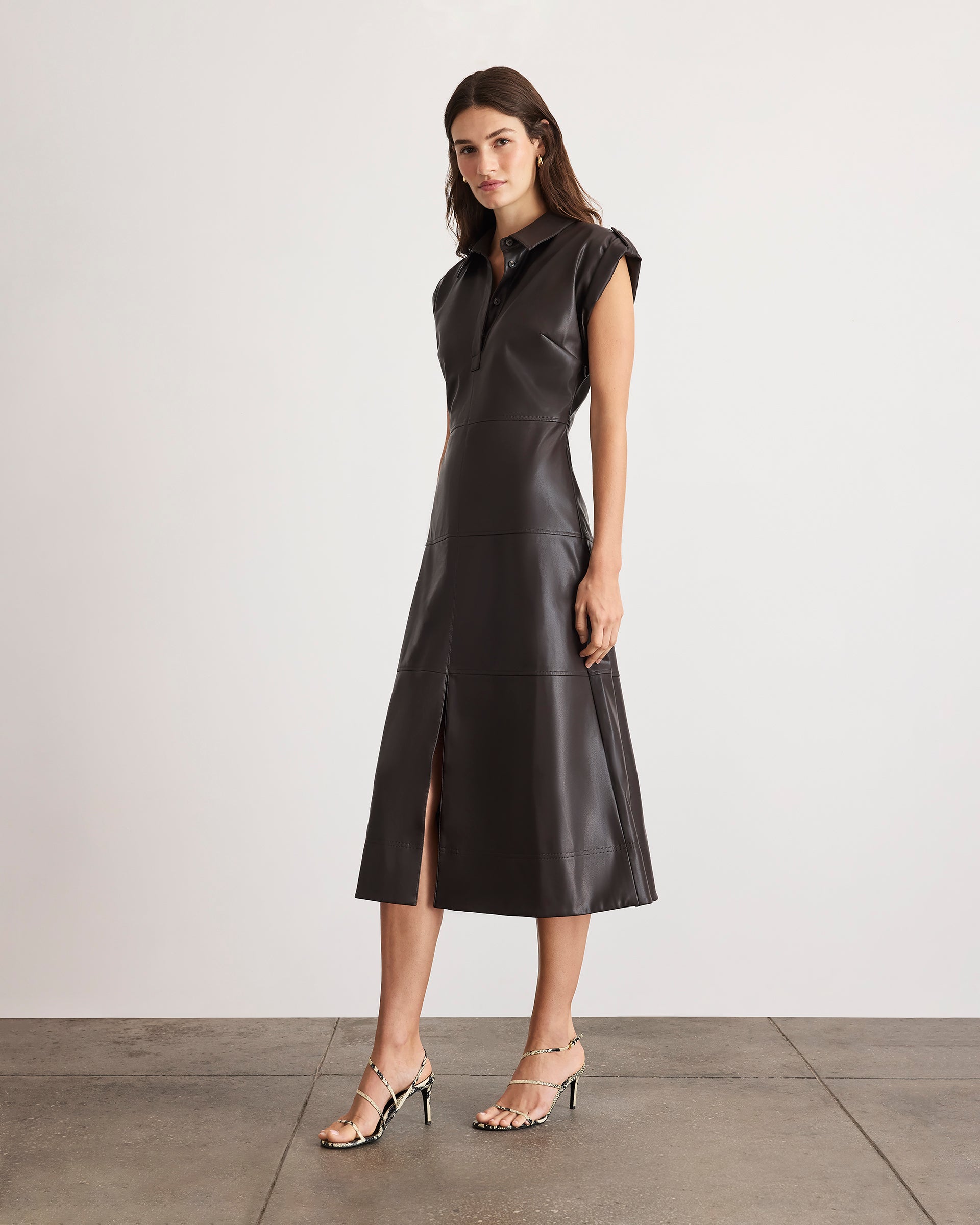 Shivi Dress